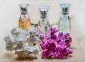 Les meilleurs parfums abordables sur le marché : NOTRE TOP 5
